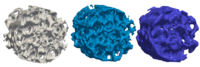 Three 3D reconstructions of a porous structure in white, light blue, and dark blue.