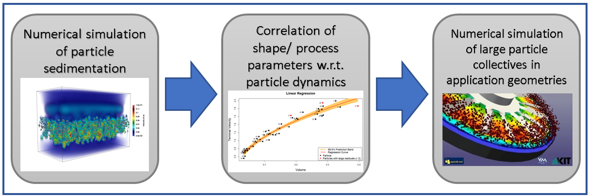 Flowchart showing numerical simulation of particle sedimentation, parameter correlation, and large particle collective dynamics.